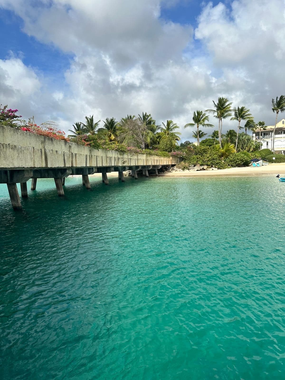 Caribbean clinical research: what actually happened, November 2025 – August 2026